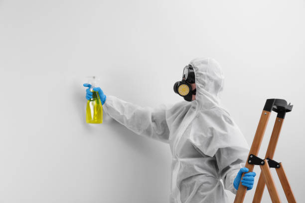 Trusted Cape St Claire, MD Mold Removal & Remediation Experts