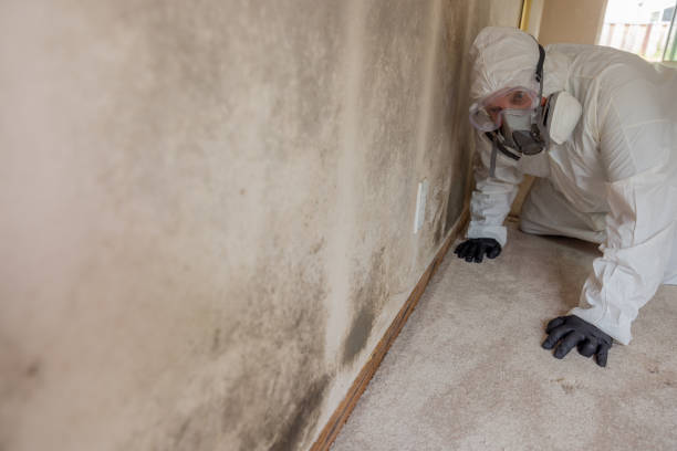 Forensic Mold Investigation in Cape St Claire, MD